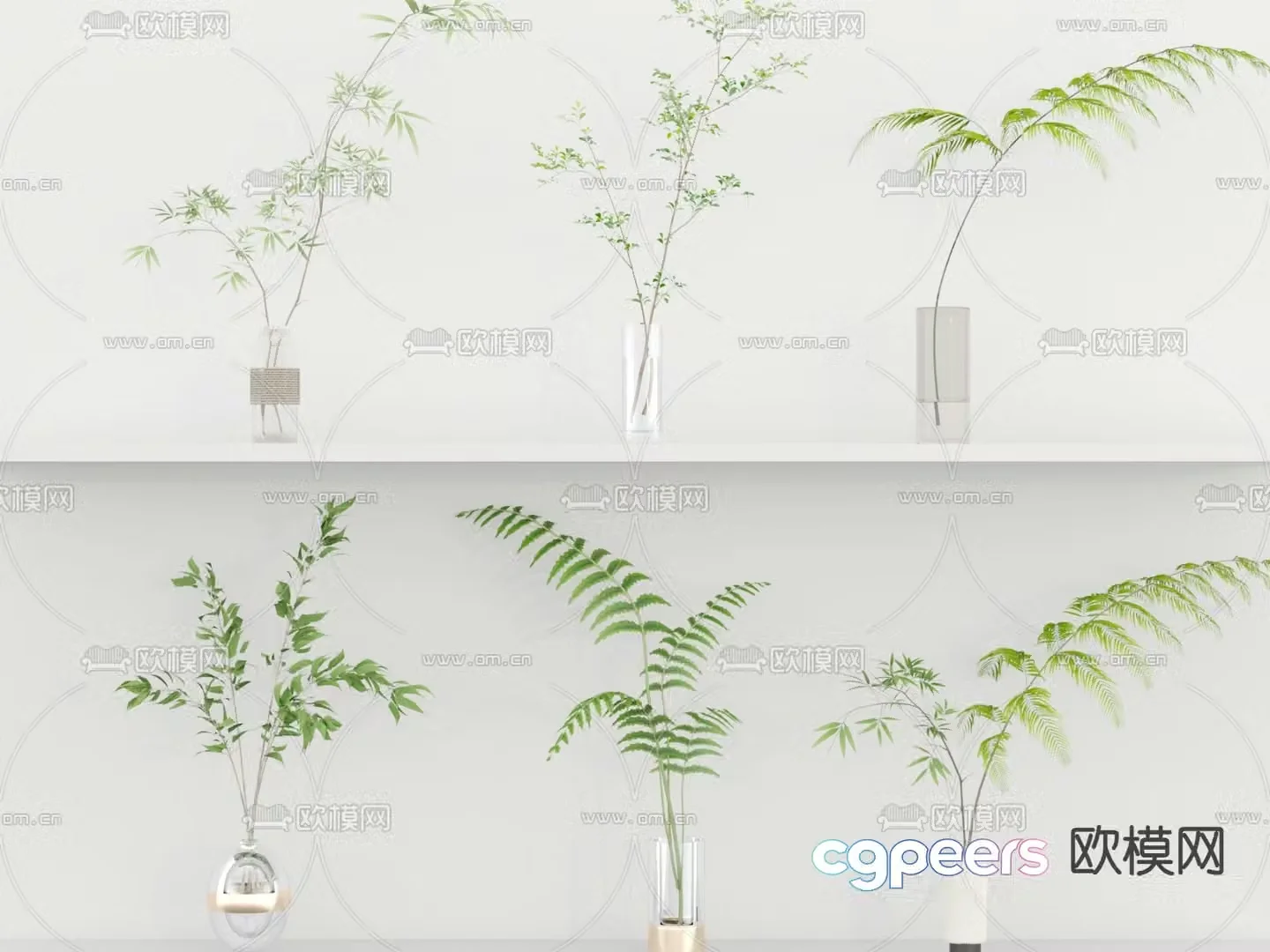 Aquatic plants hydroponic green plants 3D model