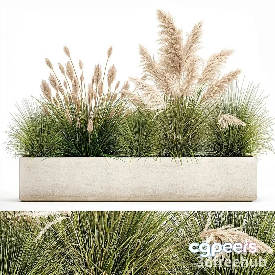 A Rectangular Planter With Grasses 3D Model – 20903 – VRAY Render