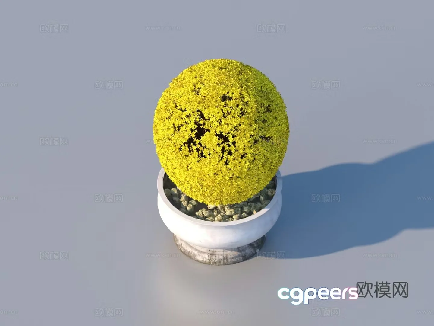 flower pot bonsai green plant plant 3d model