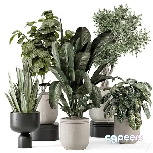 3ds Max Free – Indoor Plants in rusty Concrete Pot – Set 1286