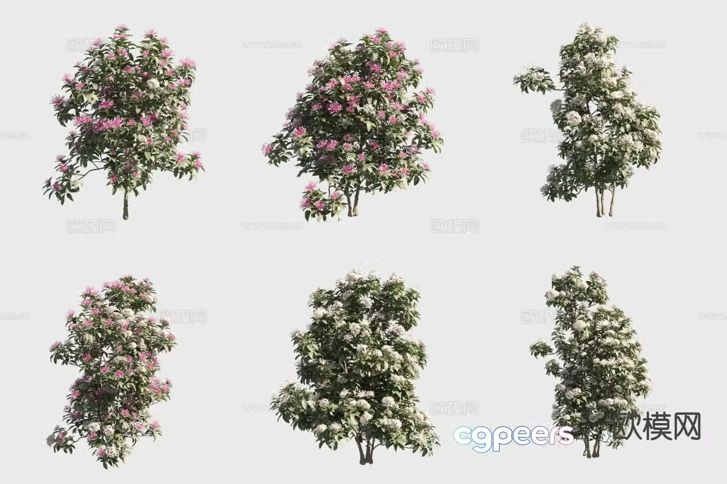 Fireworks Tree Flower Tree Landscape Tree 3D Model