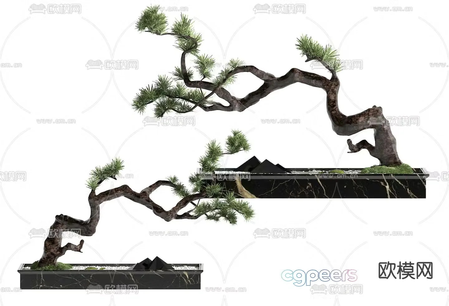 New Chinese style potted plants bonsai pine tree 3d model