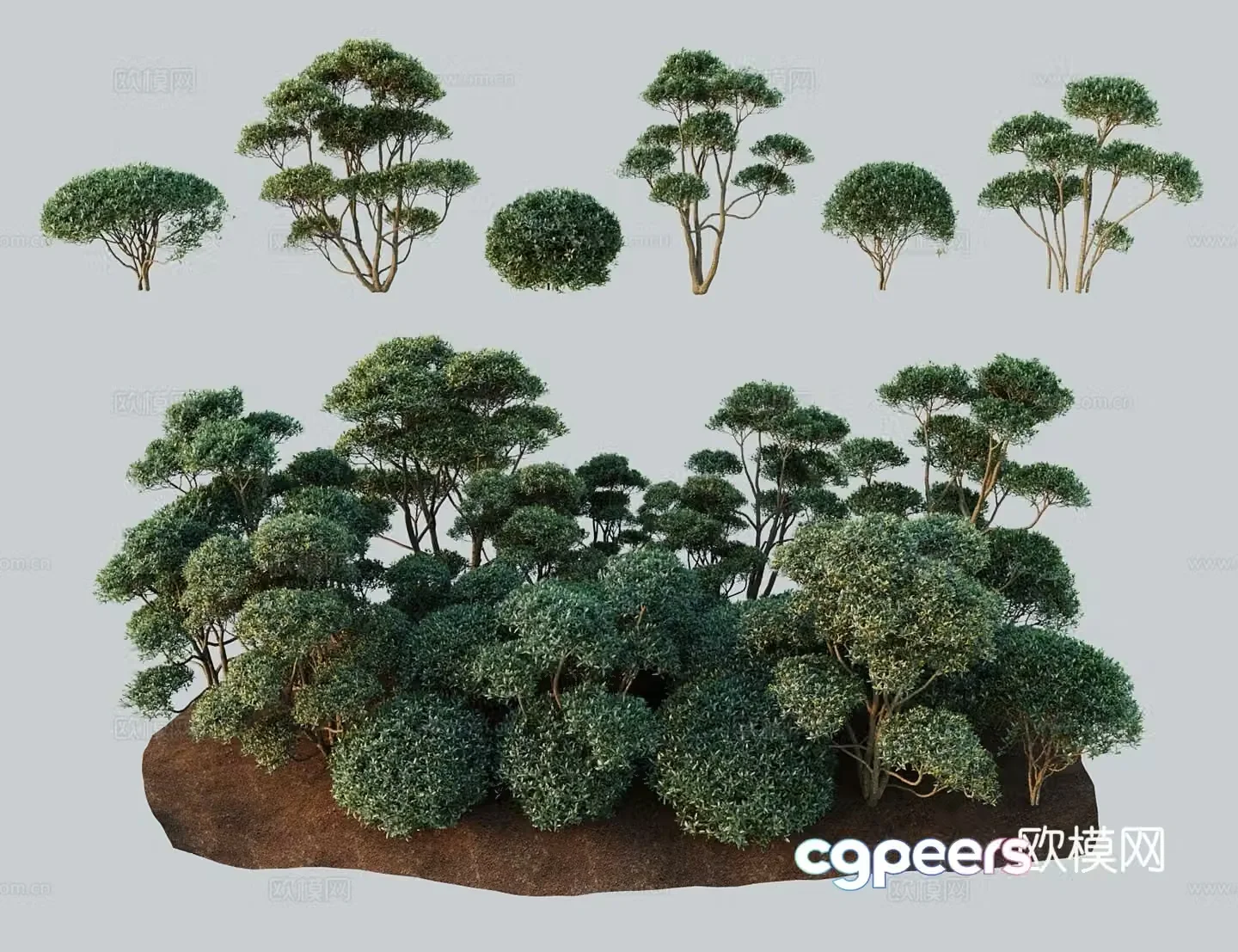 Modern landscape tree small leaf forsythia large field base small wheat grass vanilla small leaf clover small moon 3D model