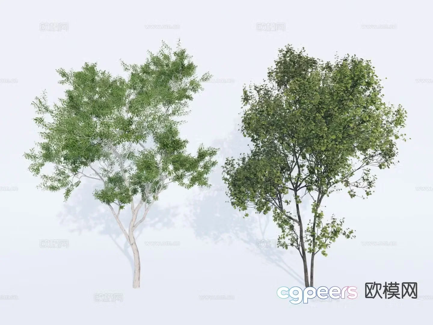 Tree Landscape Tree Street Tree Garden Tree 3D Model