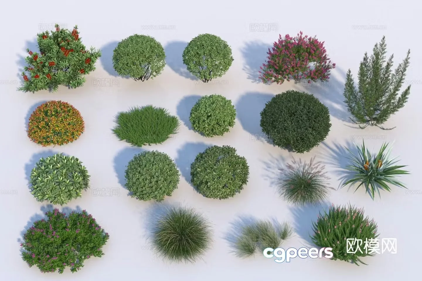 Modern shrub combination 3d model