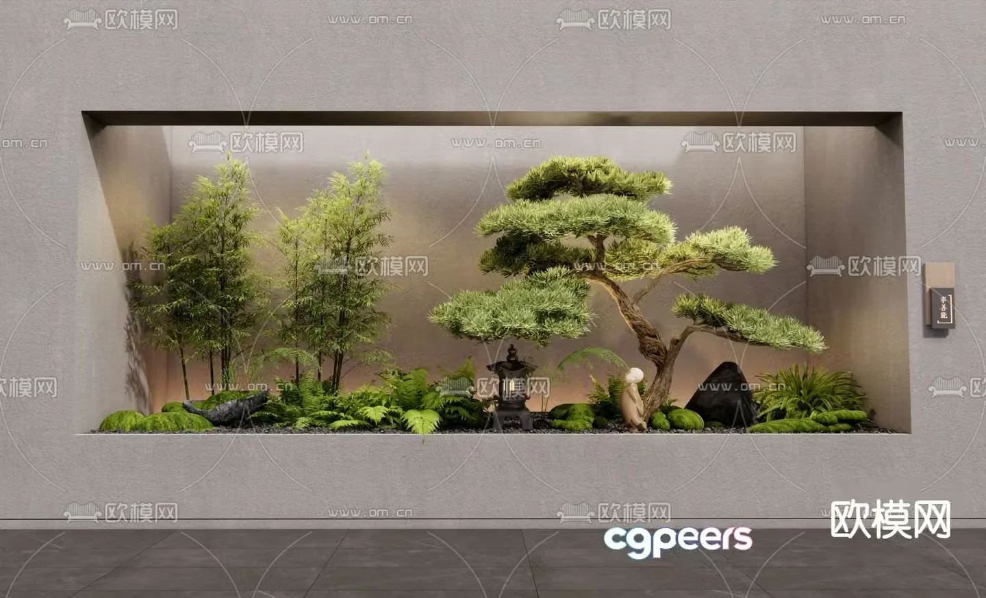 Indoor landscape plant landscaping Podocarpus 3D model