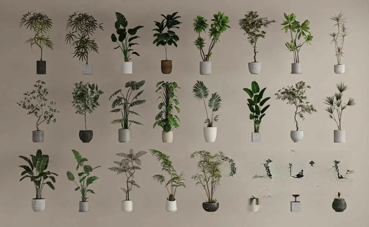 Plants In Pots 3D Model – 12408 – VRAY Render