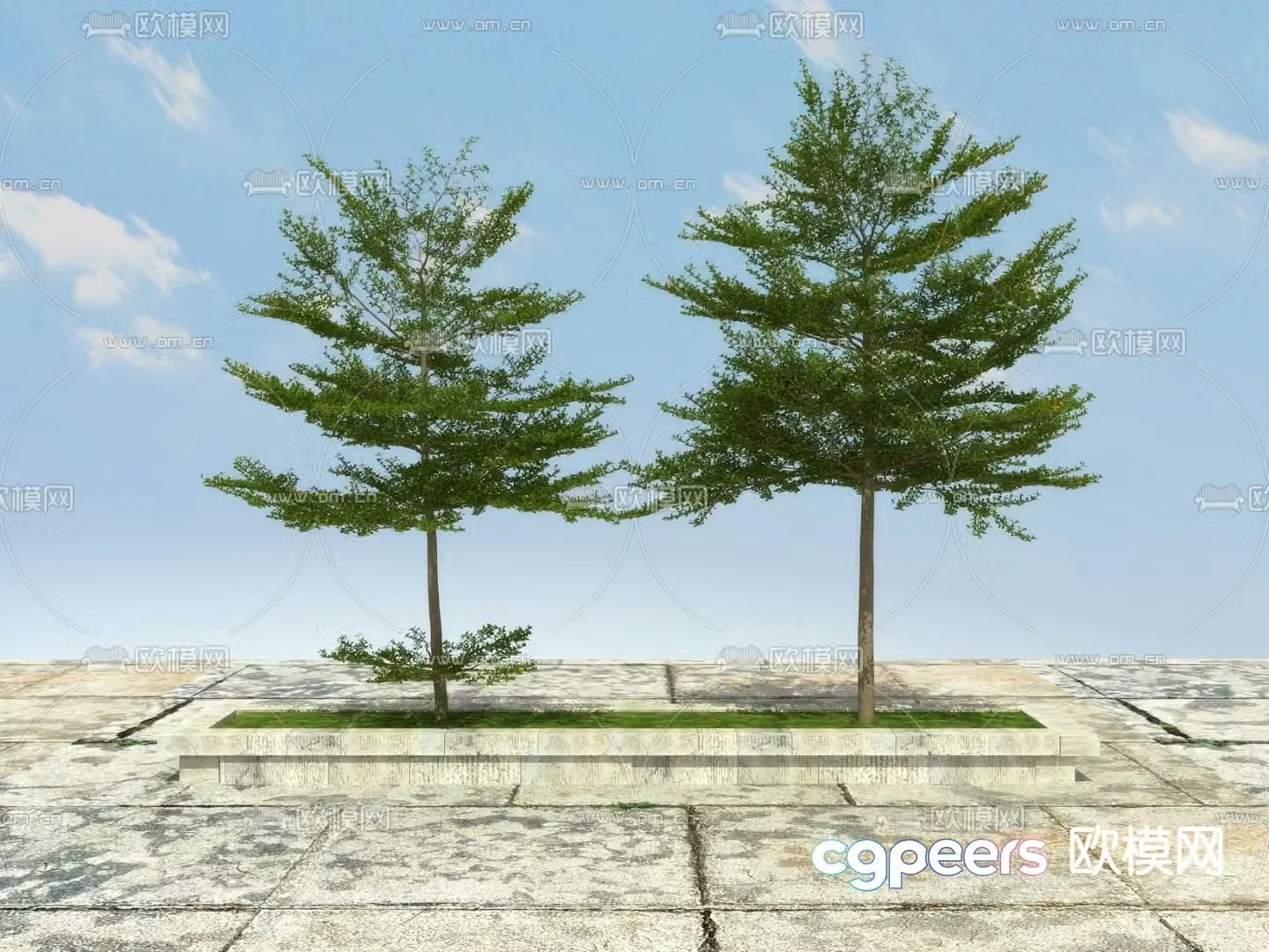 Landscape tree tree ginkgo 3d model
