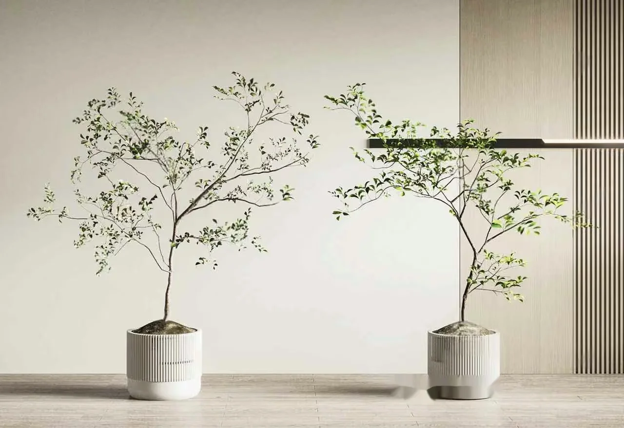 Two Potted Trees 3D Model – 7218 – CORONA Render