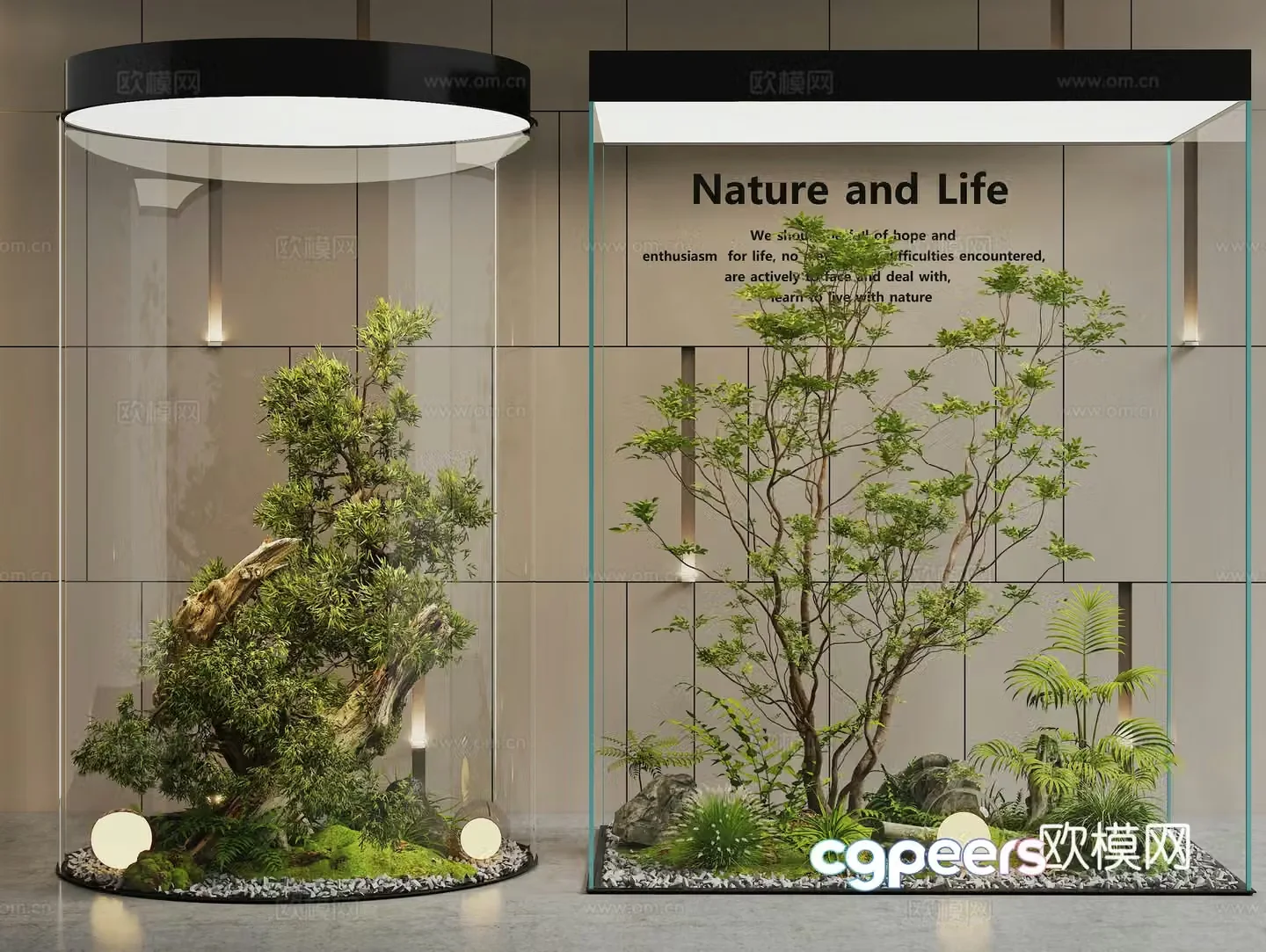 Indoor Landscape Landscape Landscape Tree Plant Heap Plant Landscape Garden 3D Model