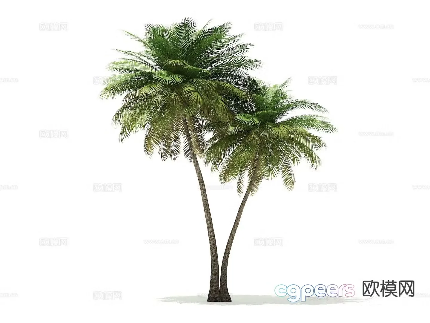 Trees Landscape Trees Street Trees Palm Trees 3D Model
