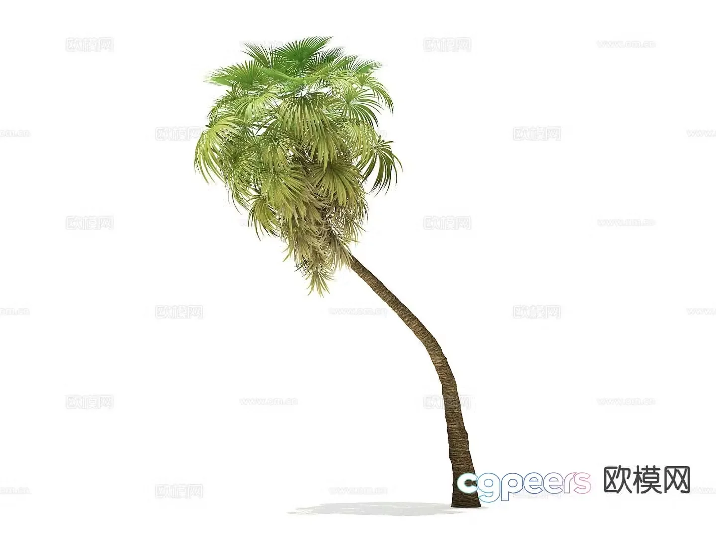 Landscape tree Palm tree Walking tree Tree Tropical tree 3d model