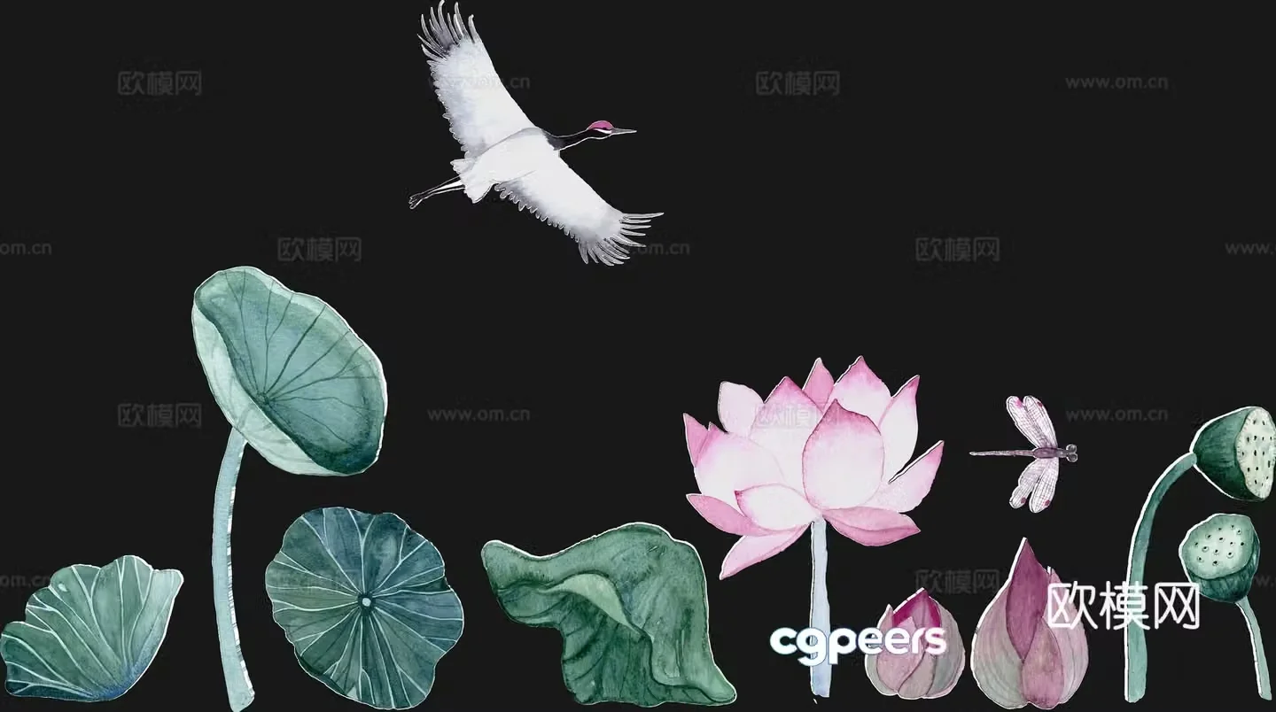 Lotus pattern lotus leaf lotus silhouette 3d model