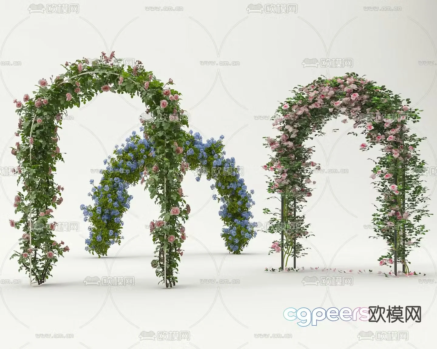 3D model of modern gallery arched door climbing vines