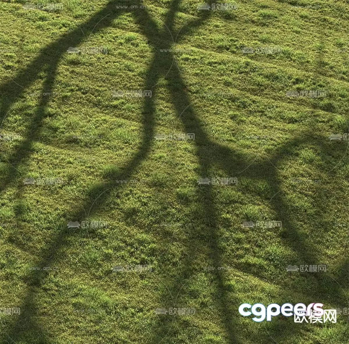 lawn grass turf green shade 3d model