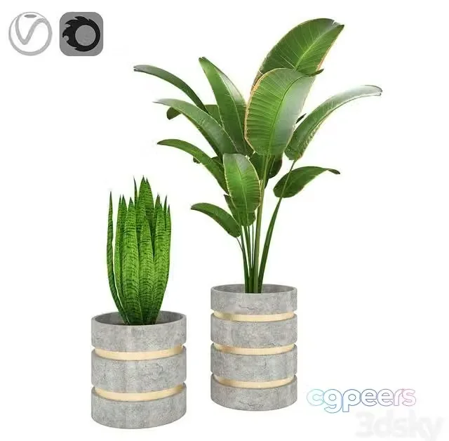 3ds Max Free – Plants_01