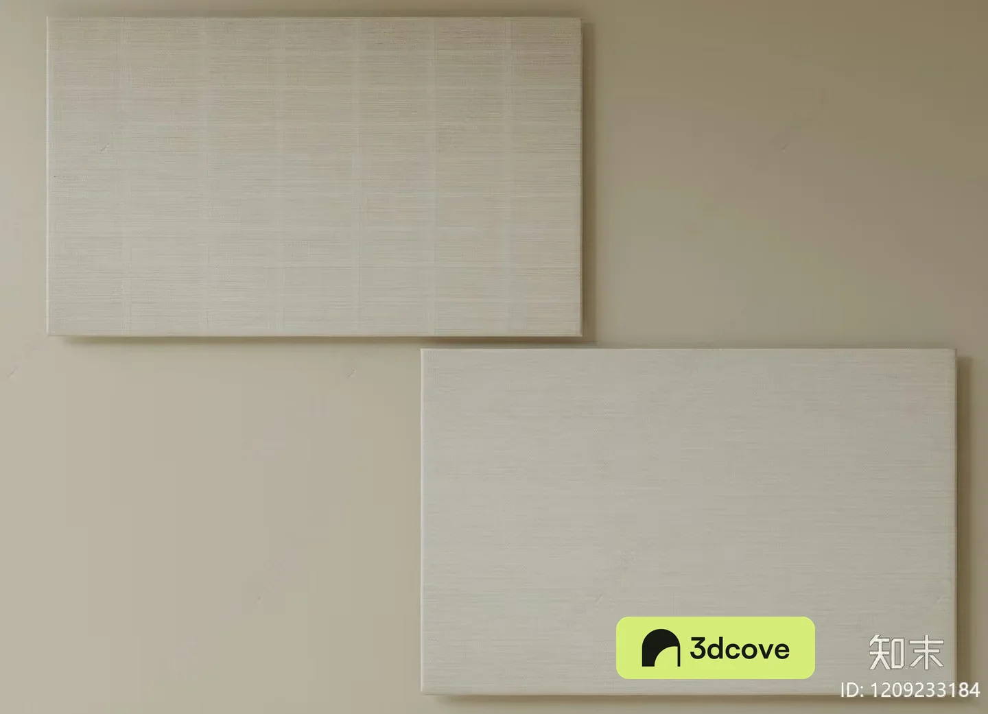 Two Blank Canvases On A Wall