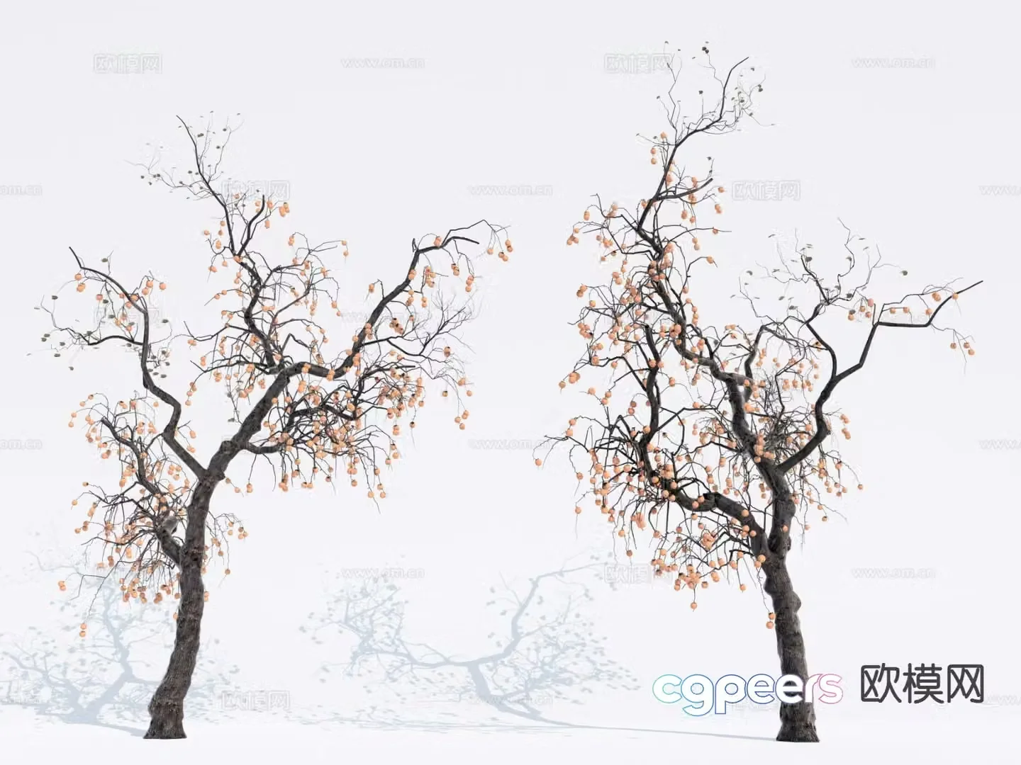 Landscape tree Fruit tree Persimmon tree 3d model