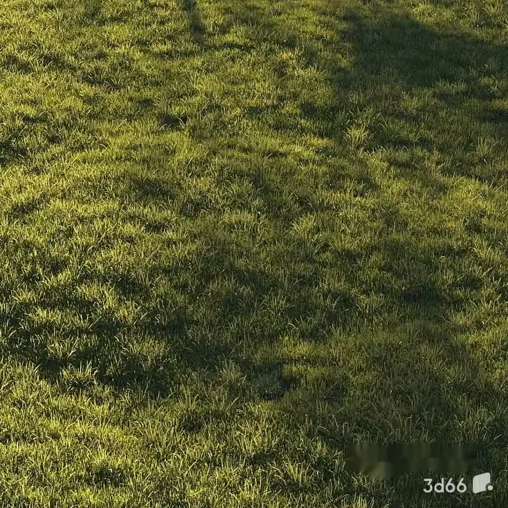 A Grassy Field 3D Model – 20327 – VRAY Render