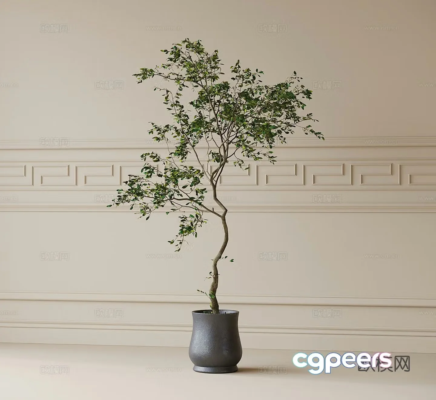 Modern potted plants green plants 3d model