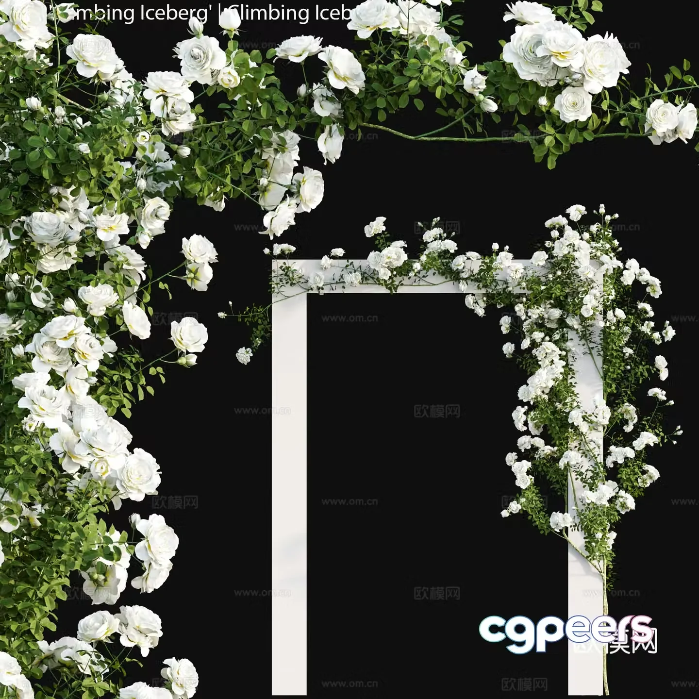 Modern vine gallery flower gallery 3D model