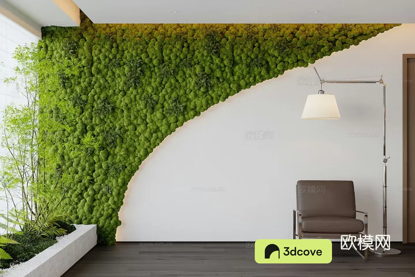 Plant wall green plant wall moss wall