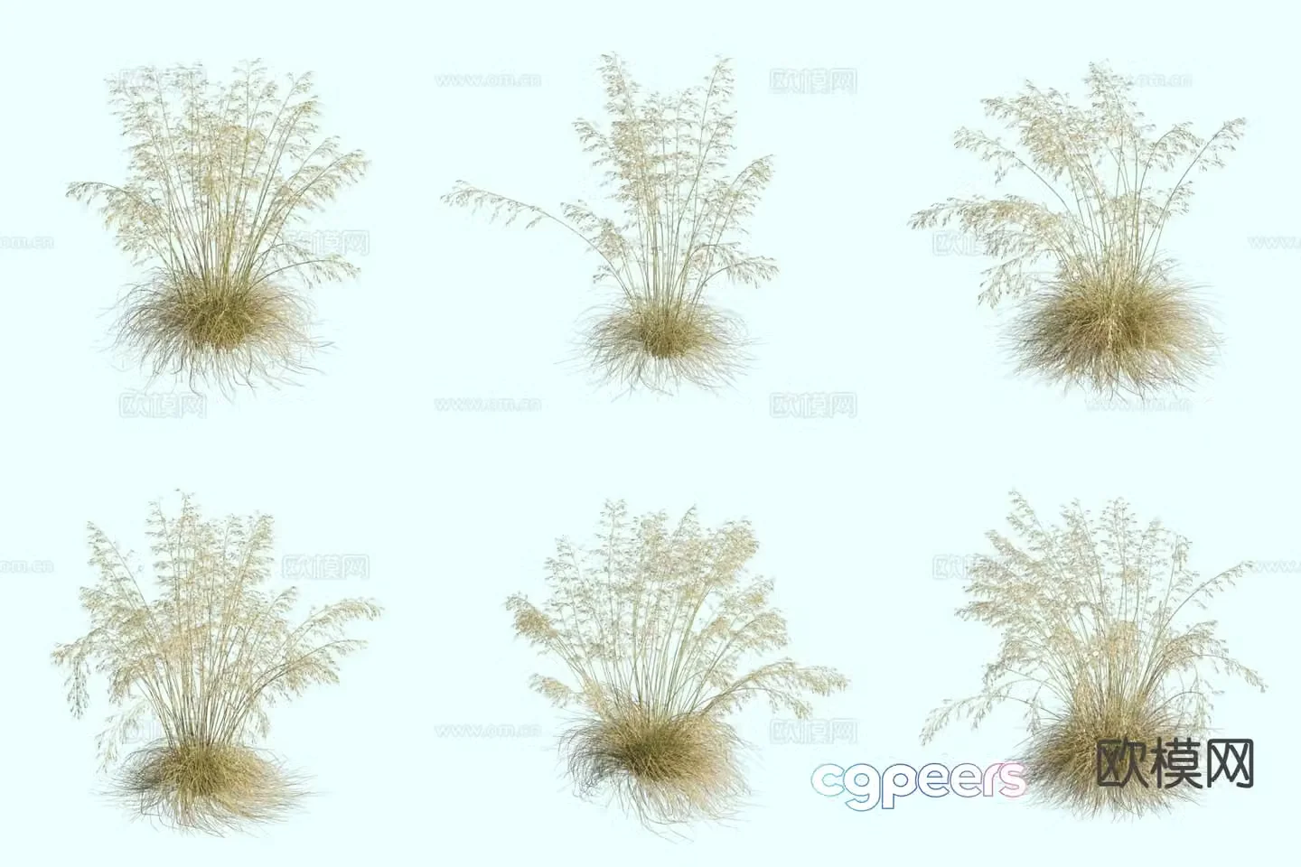 Giant pinnail ornamental grass thatch 3d model