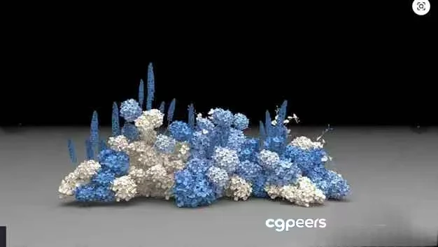 Blue And White Flowers 3D Model – 9760 – VRAY Render