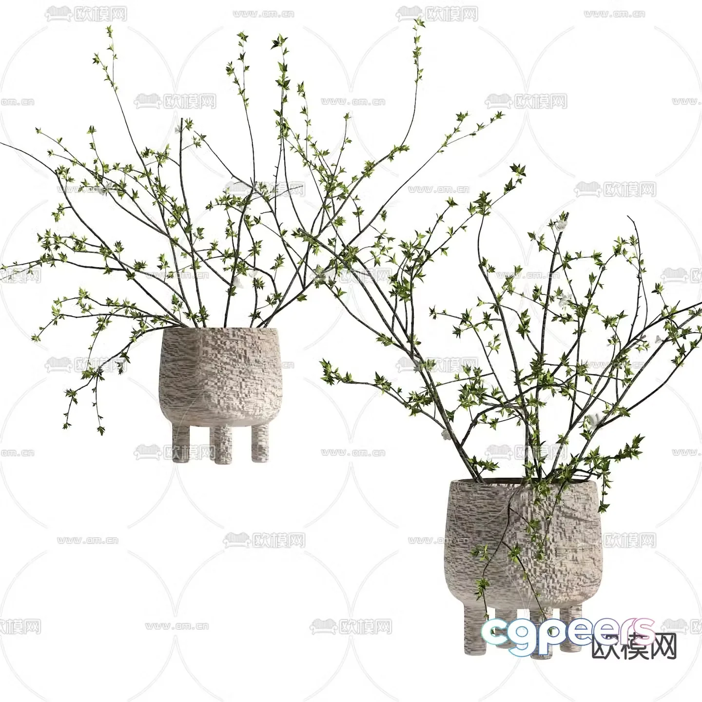 Wasabi aquatic plants hydroponic green plants 3D model