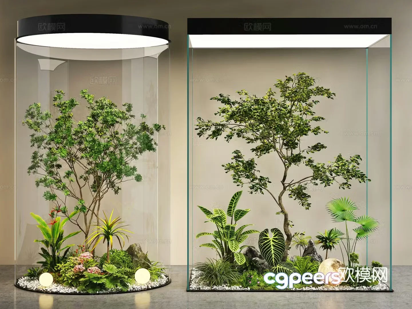 Modern interior landscape Landscape Landscape Tree Plant Heap Glass Cabinet Green Plant Landscape 3D Model