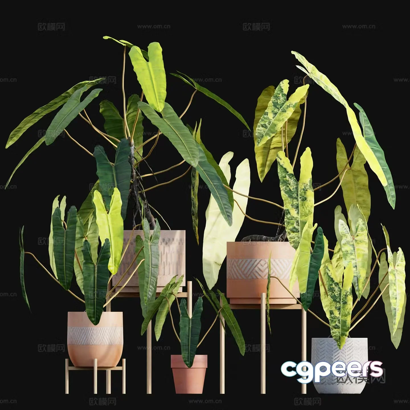Green plant potted 3D model