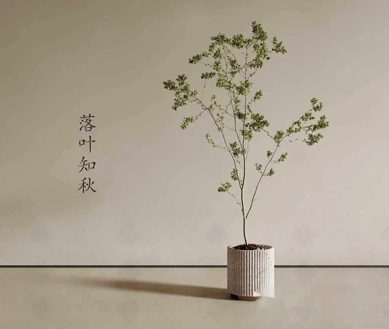 A Small Tree In A Pot 3D Model – 22762 – VRAY Render