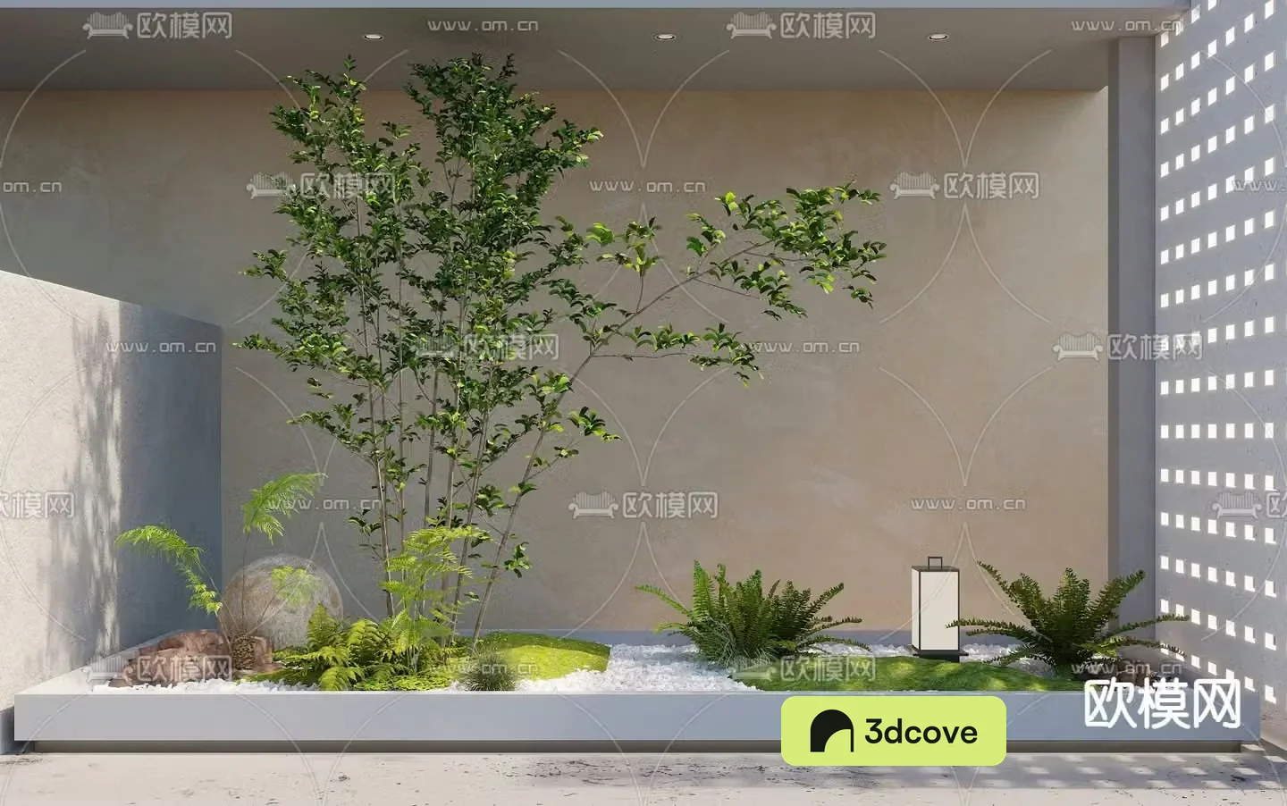 Indoor landscape plant landscaping