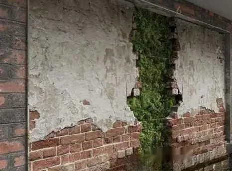 A Brick Wall With A Green Vine 3D Model – 300 – VRAY Render