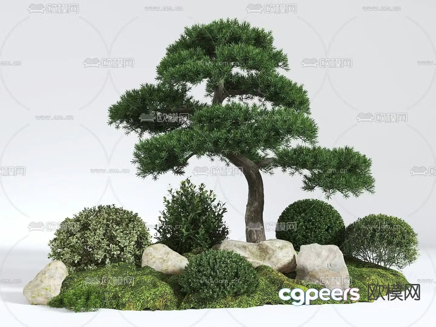 Landscape sketch pine tree landscaping 3D model