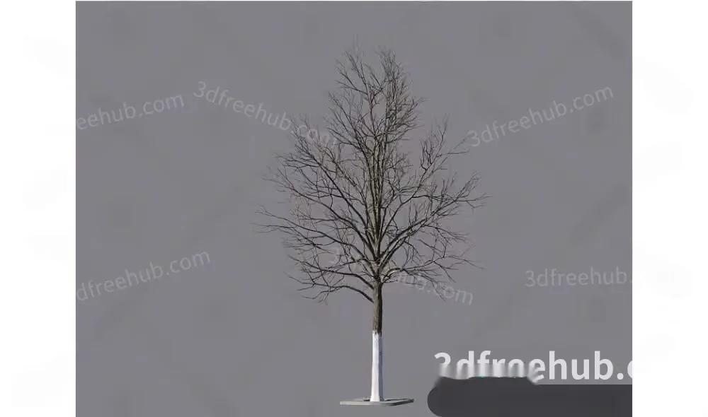 A Bare Tree With A White Trunk 3D Model – 18739 – VRAY Render