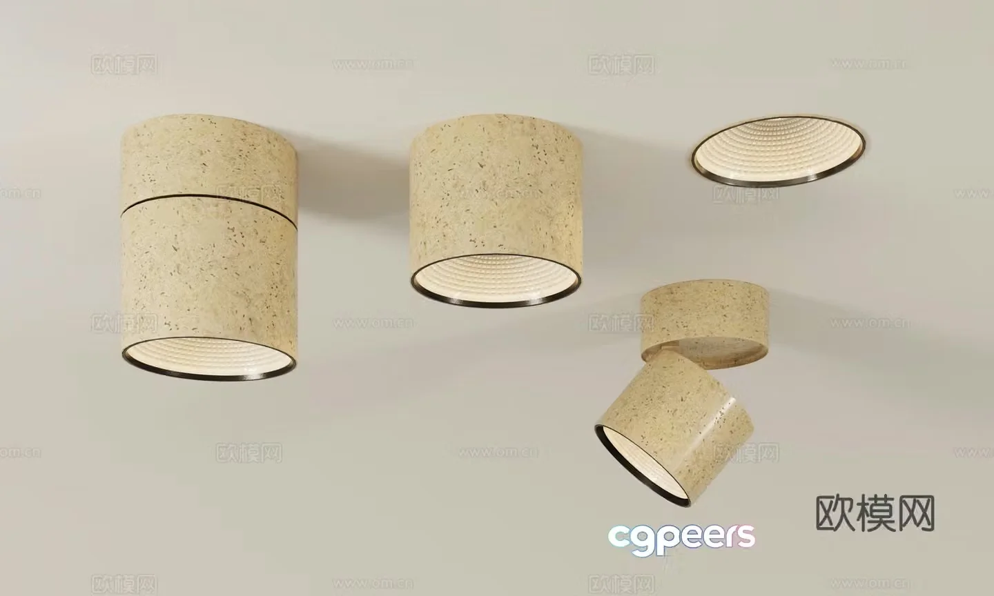 Wasabi downlight 3D model