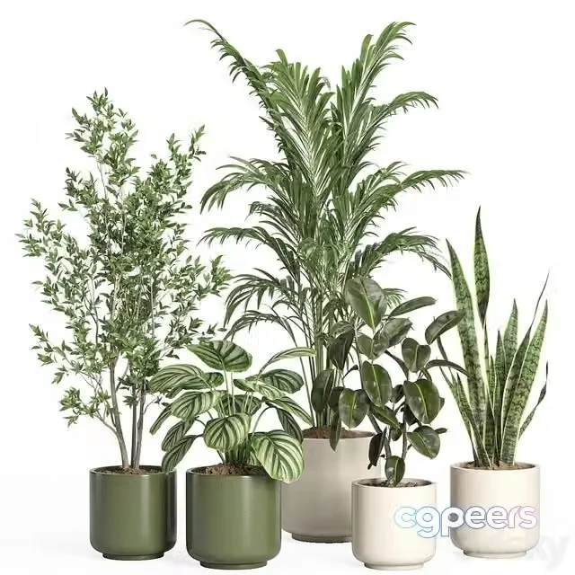 3ds Max Free – Indoor plant set 56- ceramic pot