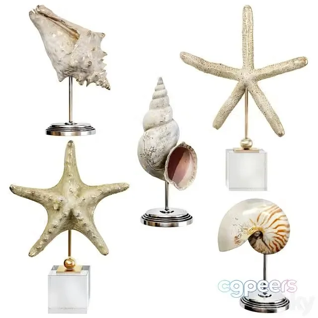 3ds Max Free – Sea shell decorative set 03