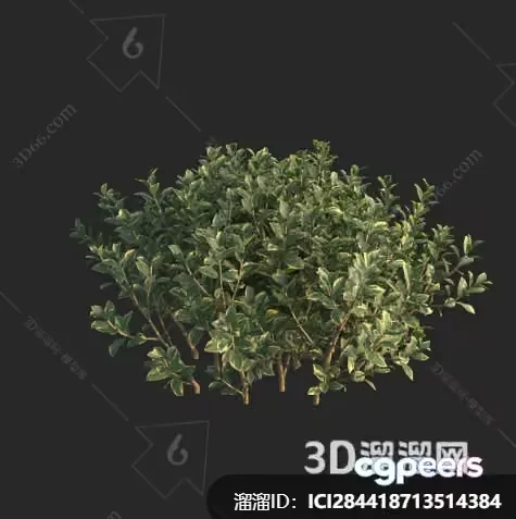 A 3D Illustration Of A Green Plant 3D Model – 22325 – VRAY Render