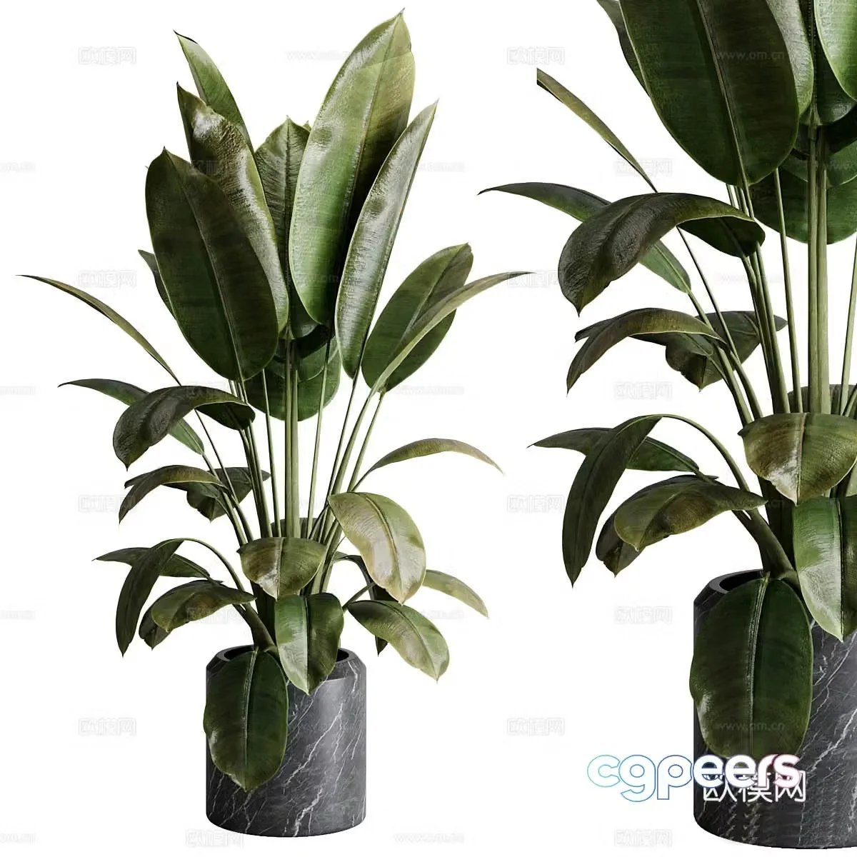 Modern green plant potted 3D model