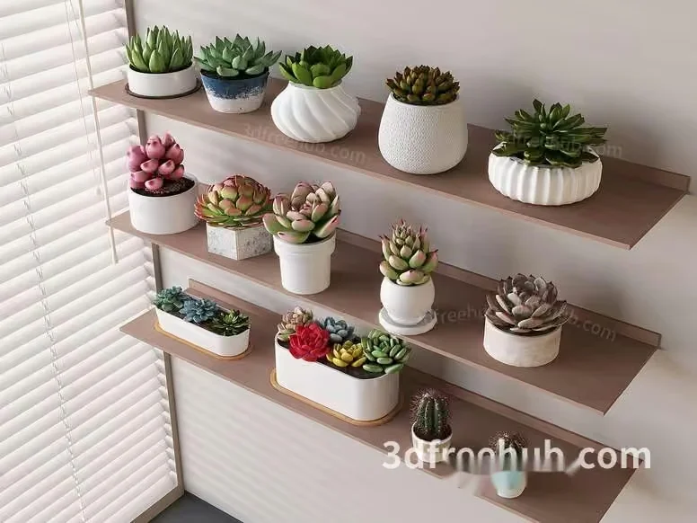 A Collection Of Succulents In Various Pots 3D Model – 22929 – VRAY Render