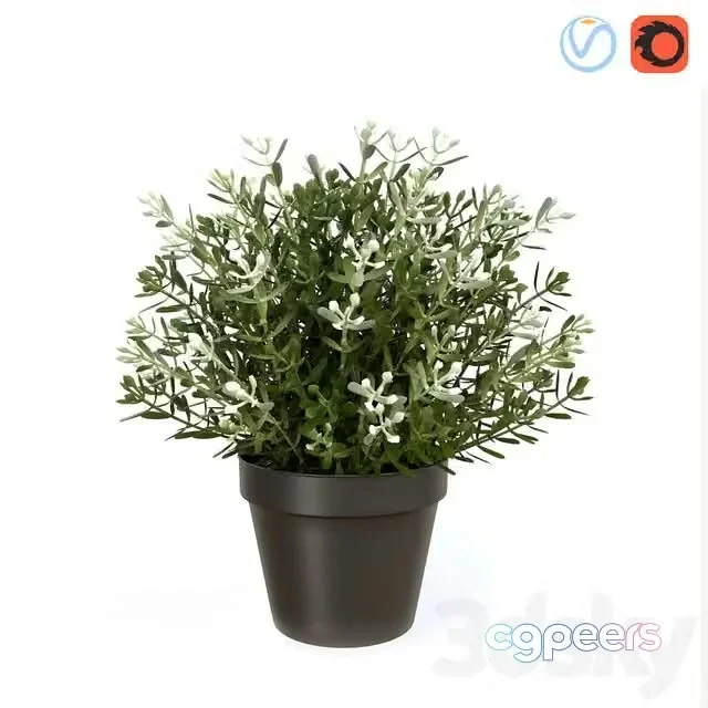 3ds Max Free – Fake Thyme