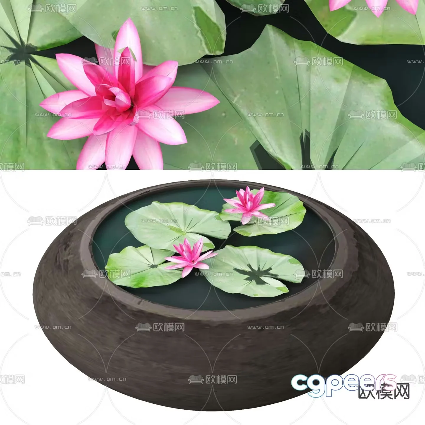 Landscape sketch lotus pond 3D model