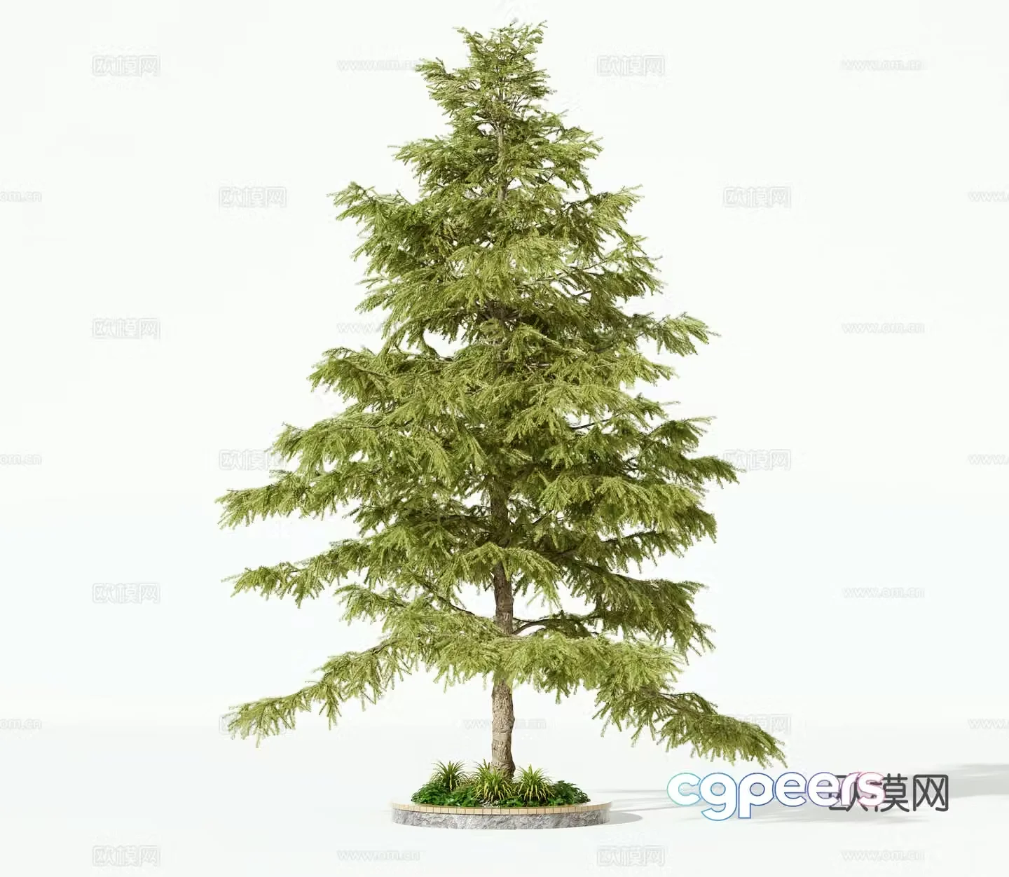 Modern trees landscape tree 3d model