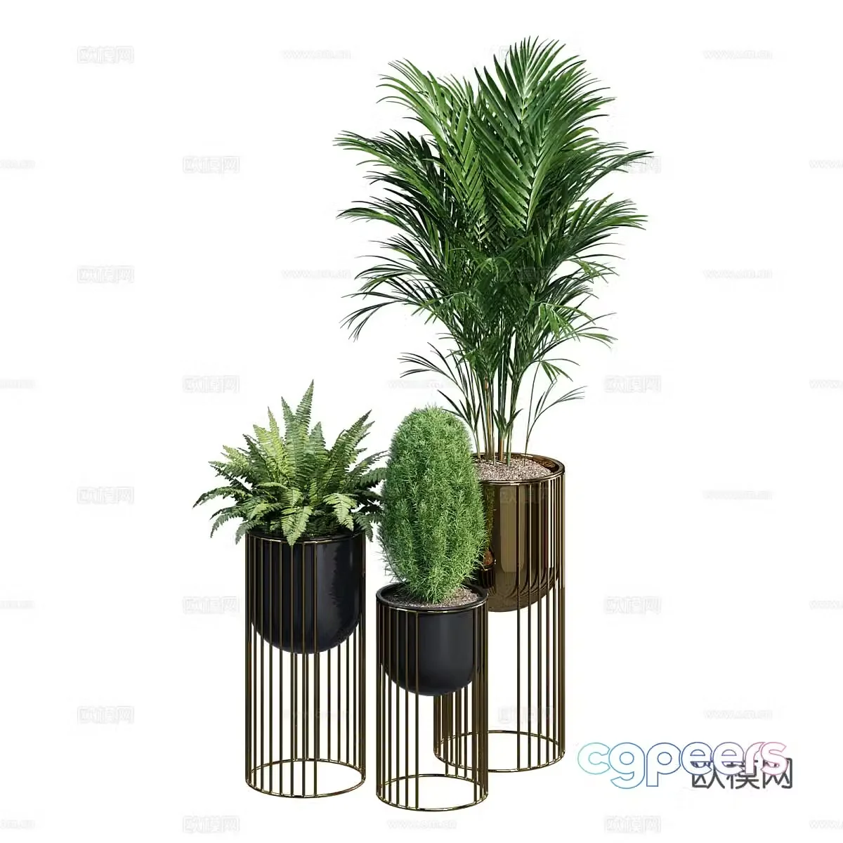 Green plant potted 3D model