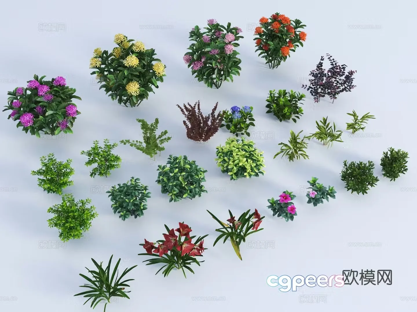 Modern flowers Modern shrub Green belt shrub Flowers Shrub Hedge Shrub Shrub 3d model