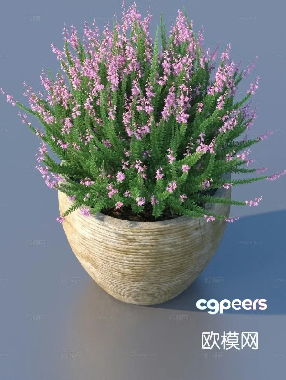 bonsai flowerpot green plant plant 3d model