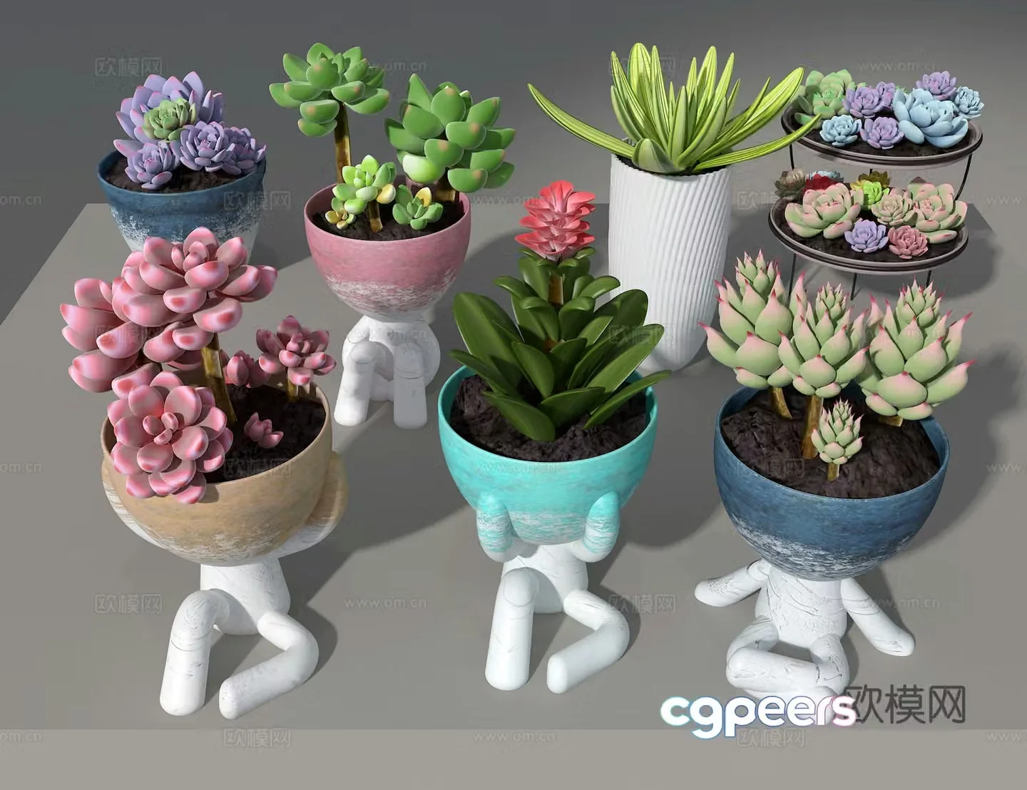 Succulent 3D model