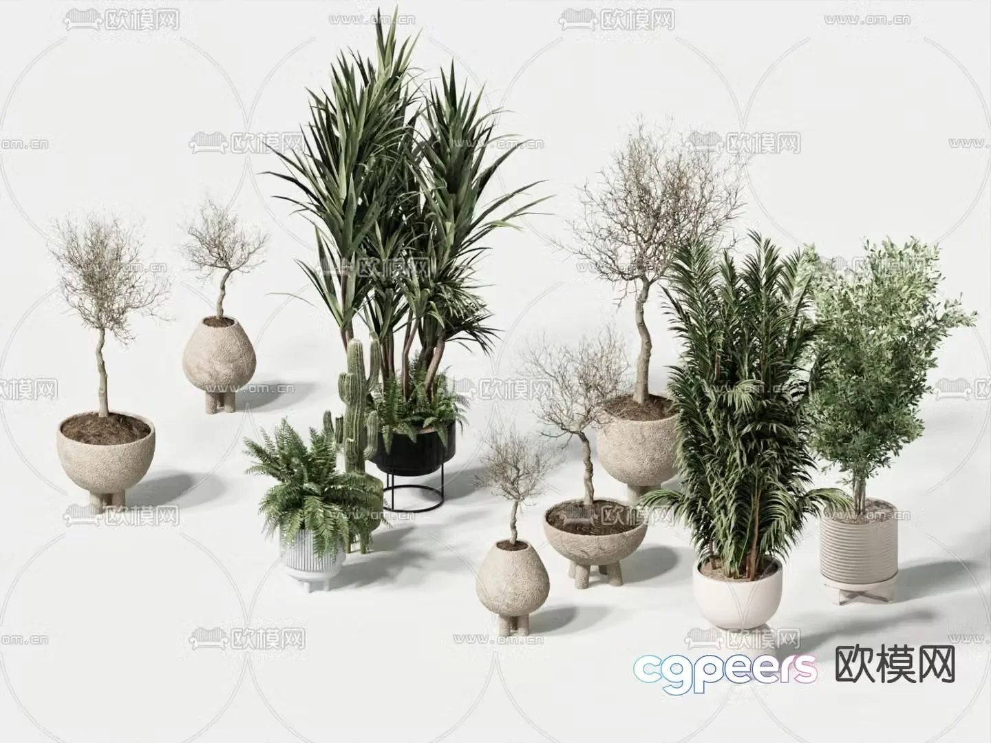 Modern green plants potted plants 3D model